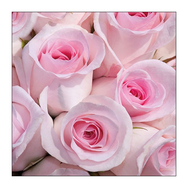 Servilleta Decoupage Ambiente 13316350 (Modelo 93)