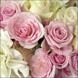 Servilleta Decoupage Ambiente 13316345 (Modelo 85) 