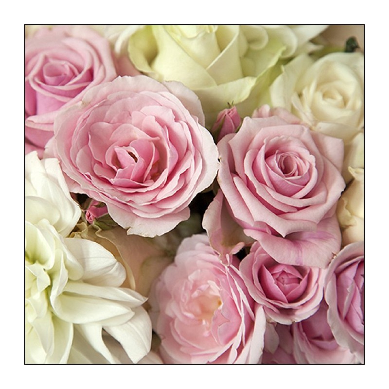 Servilleta Decoupage Ambiente 13316345 (Modelo 85) 