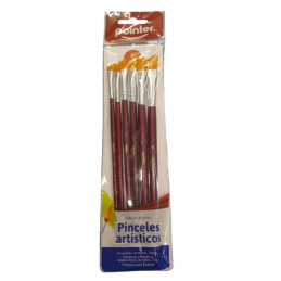 Set de pinceles Bomeijia X6