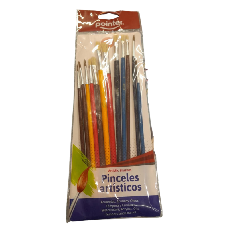 Set de pinceles Bomeijia X6