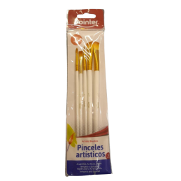 Set de pinceles Bomeijia X6